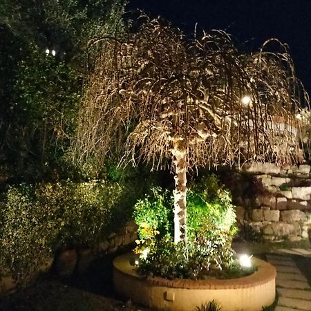 Bed And Berli Bed & Breakfast Sesto Fiorentino Exterior photo